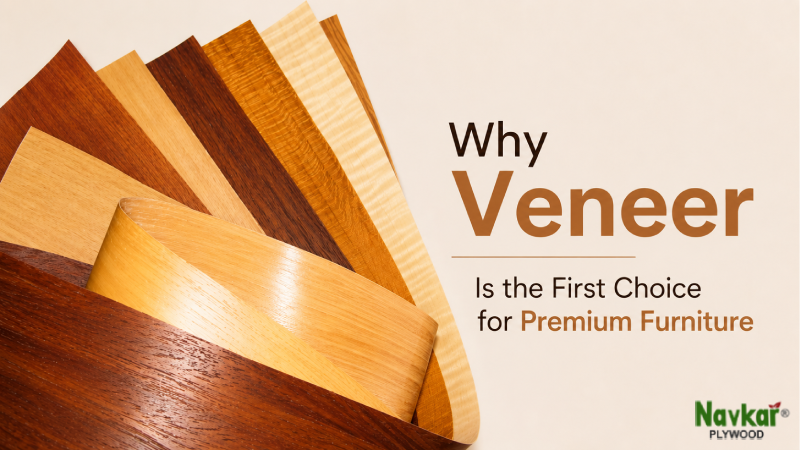 Why Veneer Is the First Choice for Premium Furniture