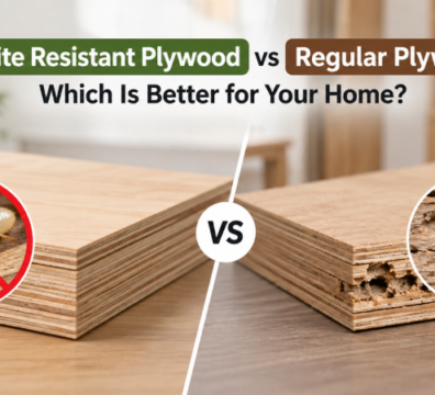 Termite Resistant Plywood vs Regular Plywood: Which Is Better for Your Home?