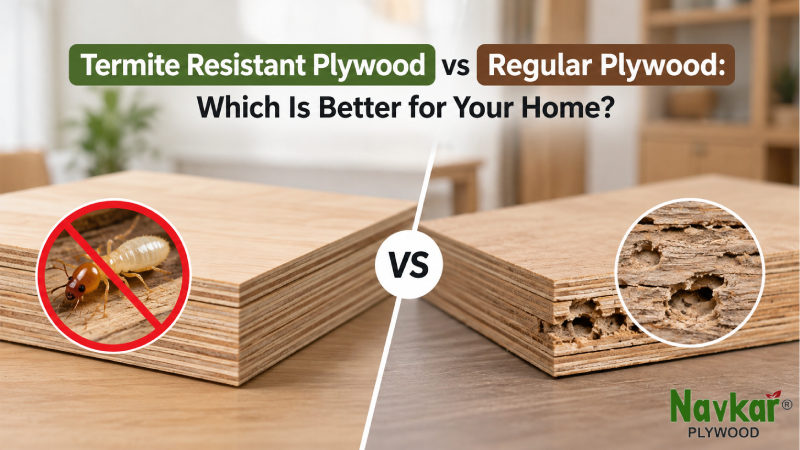 Termite Resistant Plywood vs Regular Plywood: Which Is Better for Your Home?