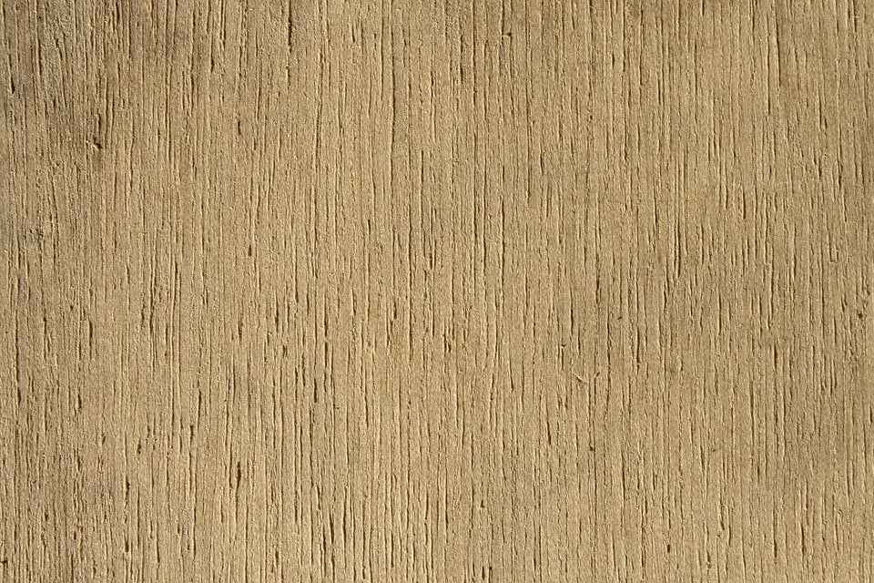 Sag wood price in Gujarat