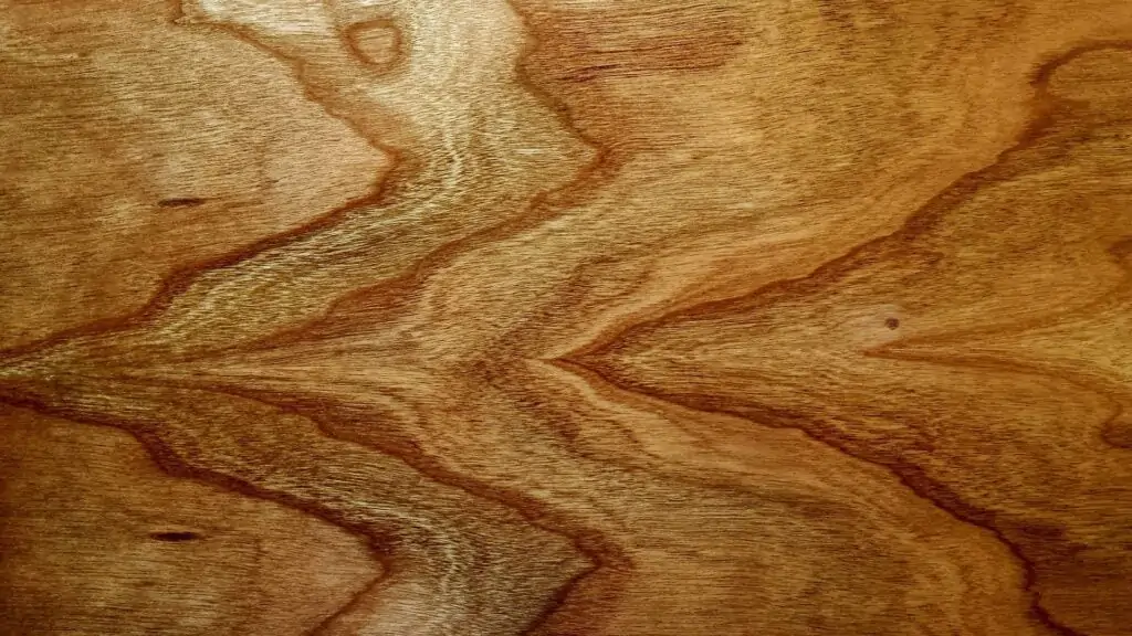 Plywood Manufacturer in Ahmedabad
