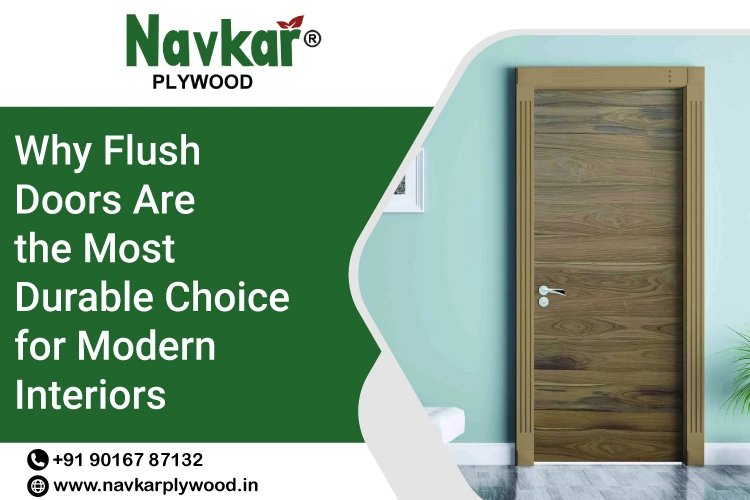 Why Flush Doors Are the Most Durable Choice for Modern Interiors