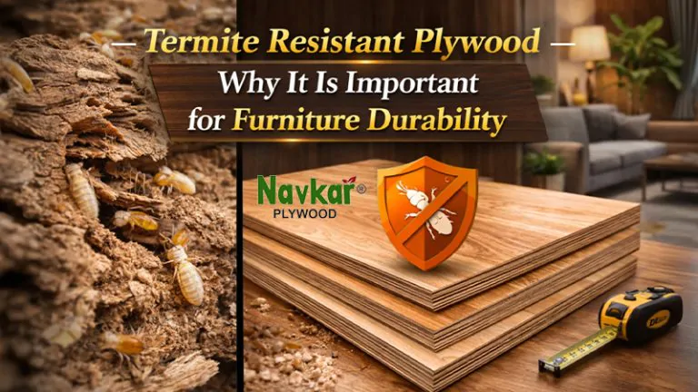 Termite Resistant Plywood – Why It Is Important for Furniture Durability