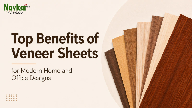 Top Benefits of Veneer Sheets for Modern Home and Office Designs